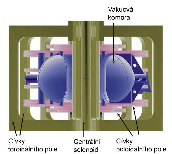 Model of the  COMPASS vacuum vessel, toroidal and poloidal coils